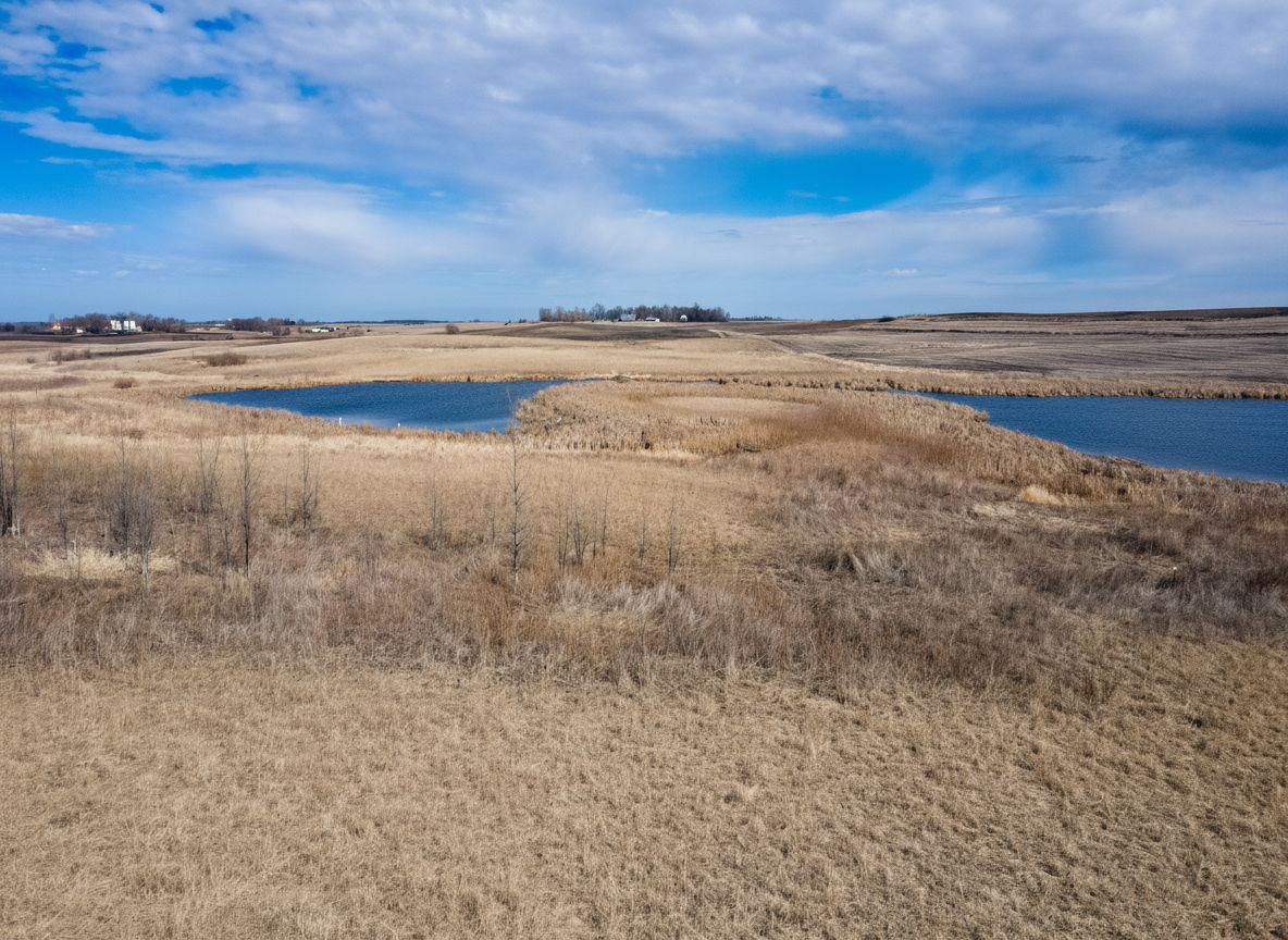 Listing Photo: Becker County, MN - Lake Park Hunting Land